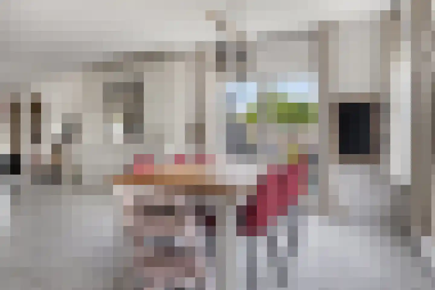 Leeghwaterstraat 96 Hulst thumbnail 11