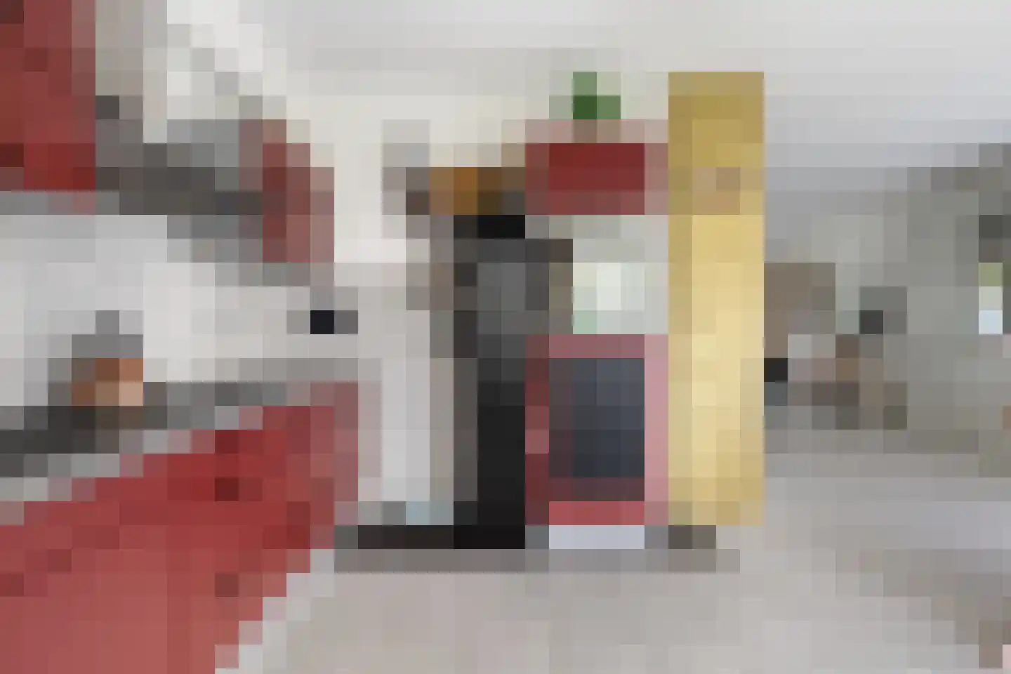 Leeghwaterstraat 96 Hulst thumbnail 15