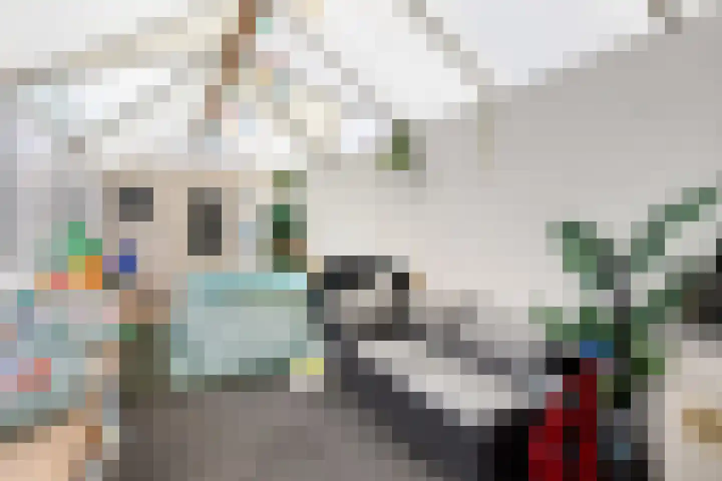 Leeghwaterstraat 96 Hulst thumbnail 16