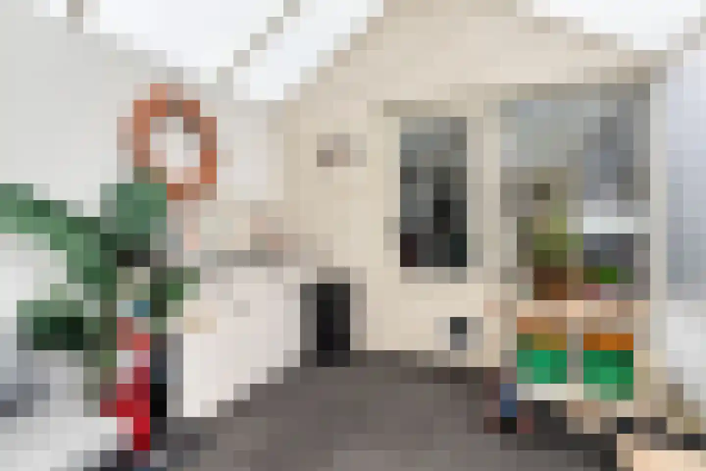 Leeghwaterstraat 96 Hulst thumbnail 17