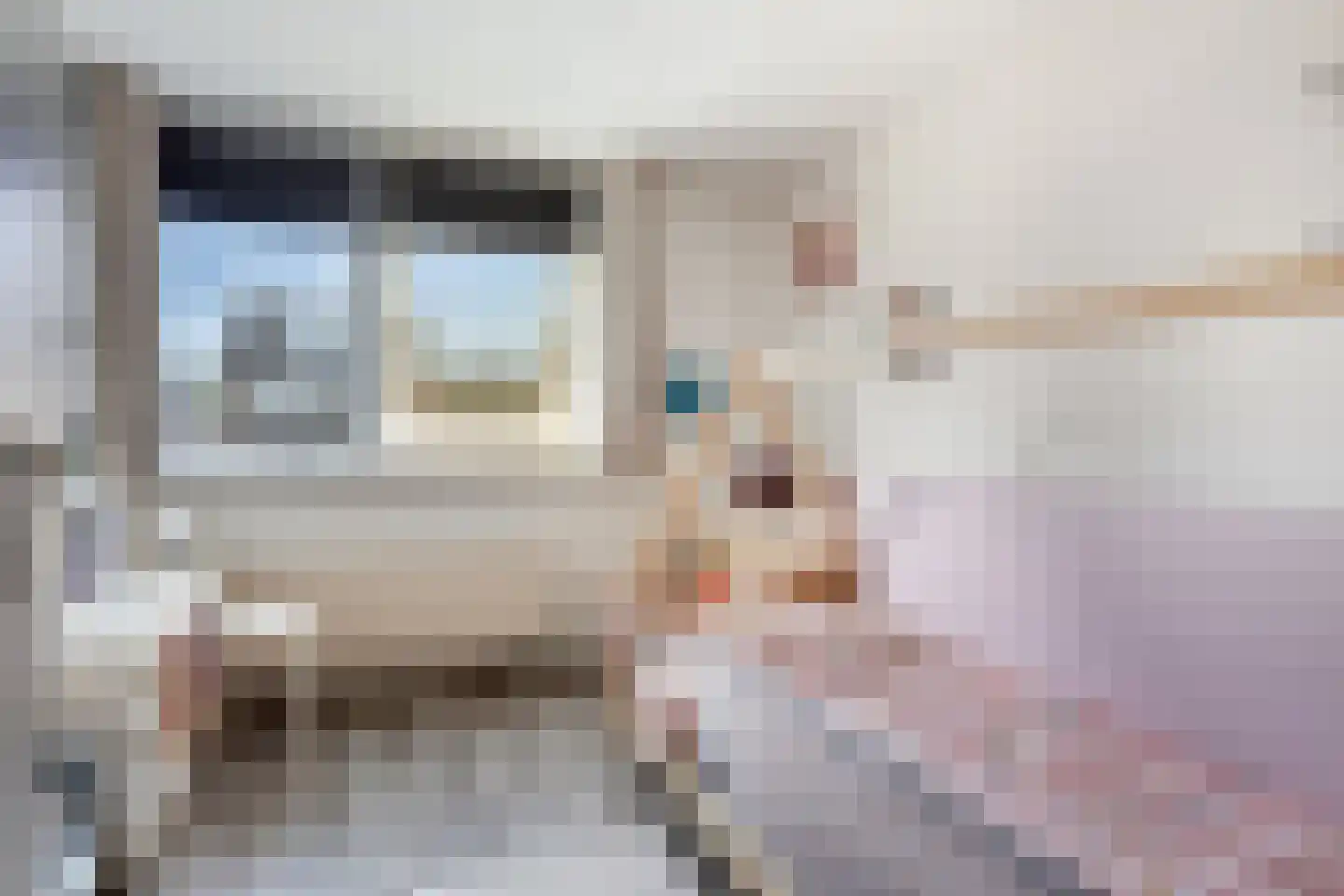 Leeghwaterstraat 96 Hulst thumbnail 26