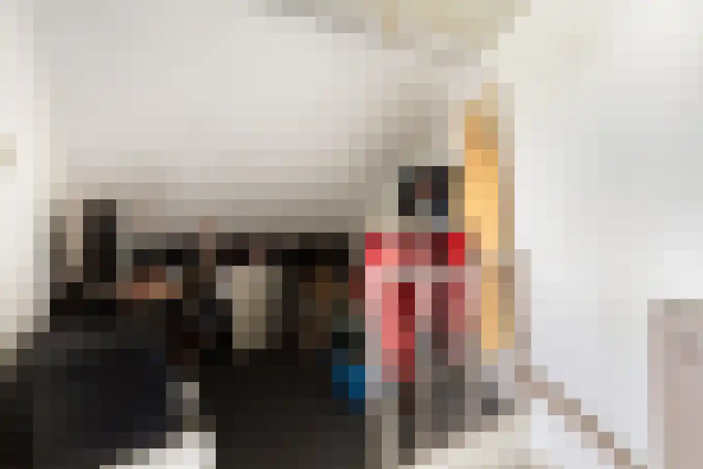 Leeghwaterstraat 96 Hulst thumbnail 27