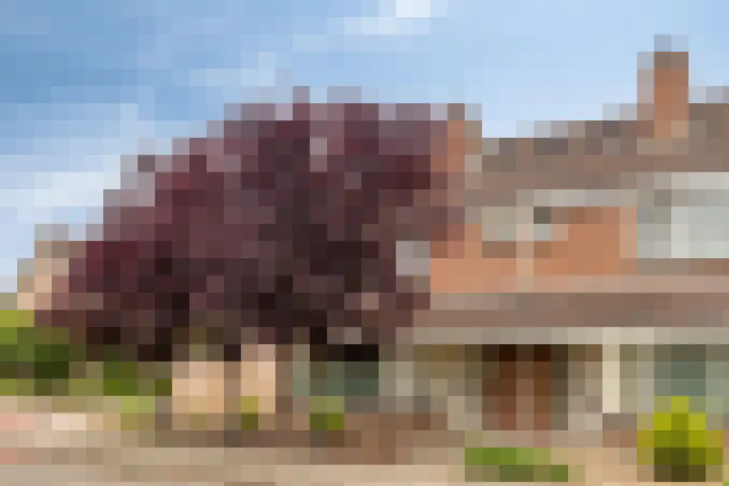 Leeghwaterstraat 96 Hulst foto 3