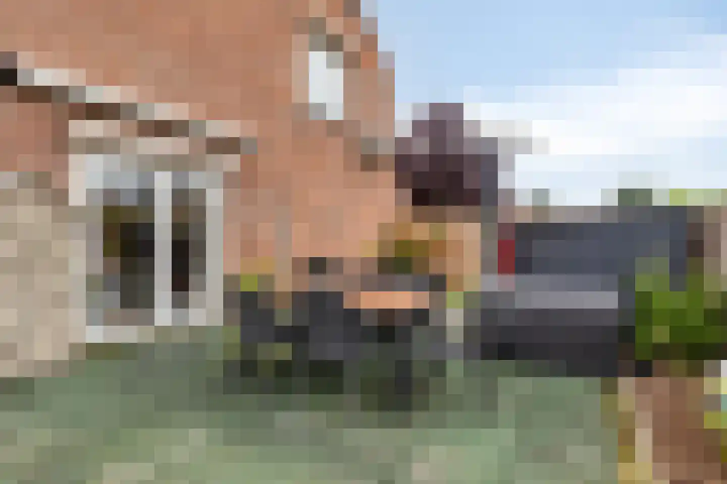 Leeghwaterstraat 96 Hulst thumbnail 31