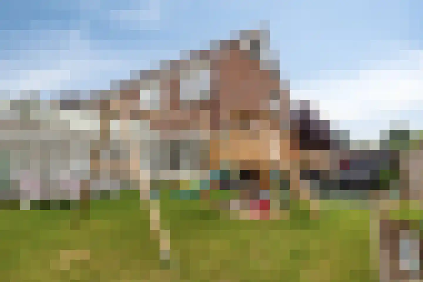 Leeghwaterstraat 96 Hulst thumbnail 35
