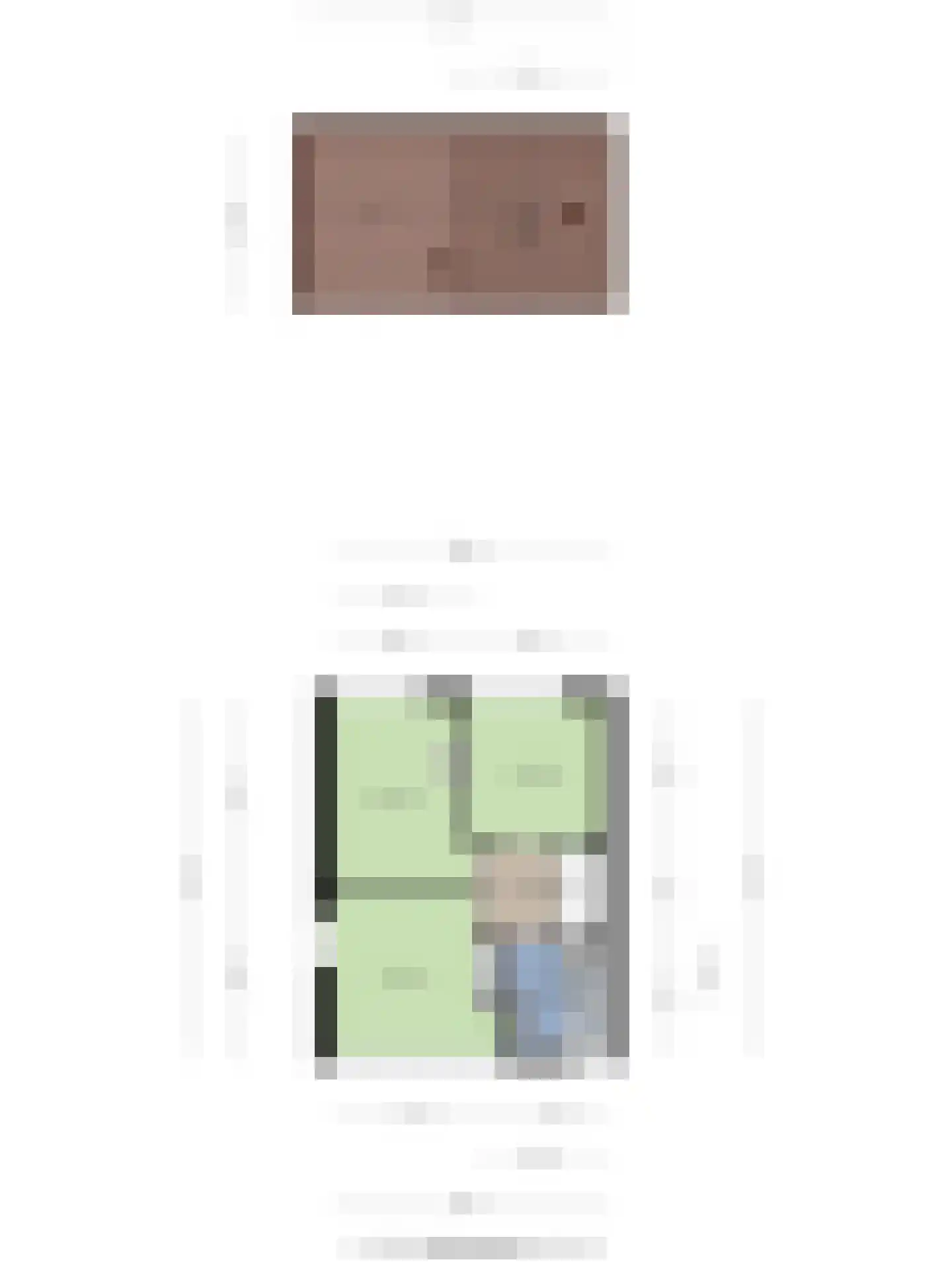Leeghwaterstraat 96 Hulst thumbnail 37