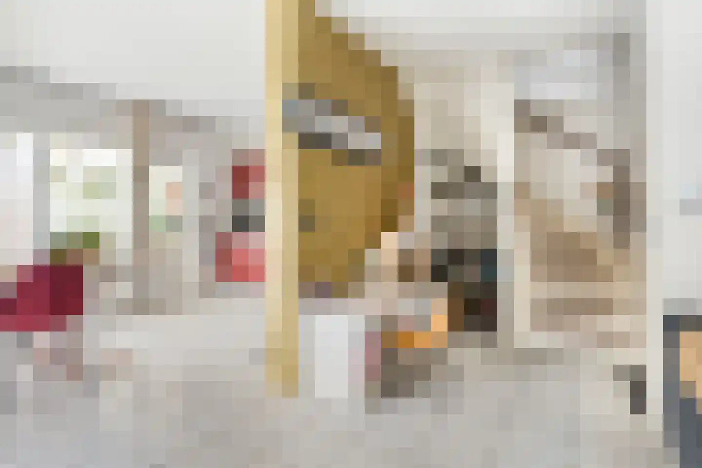 Leeghwaterstraat 96 Hulst thumbnail 7