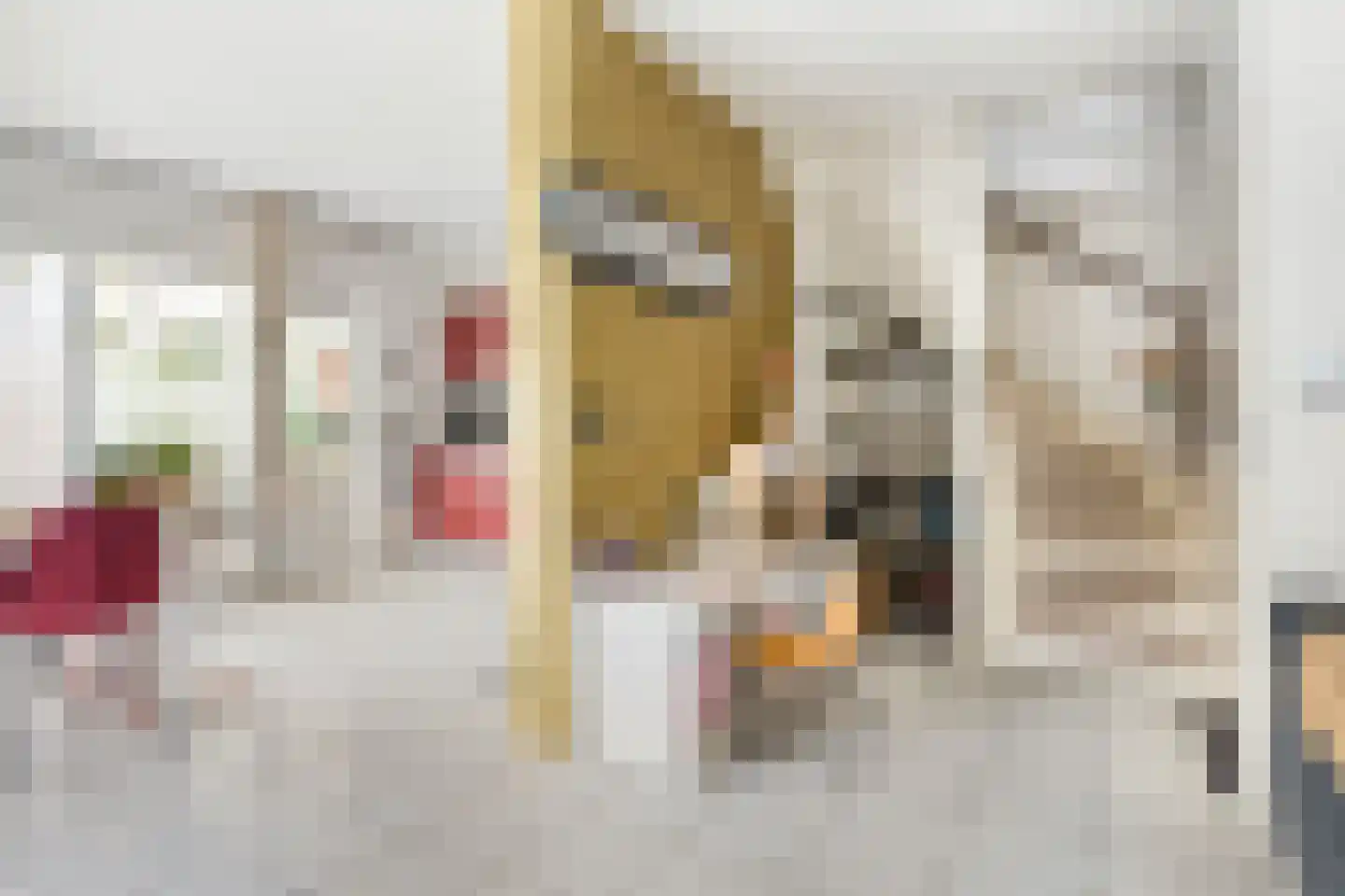 Leeghwaterstraat 96 Hulst thumbnail 9
