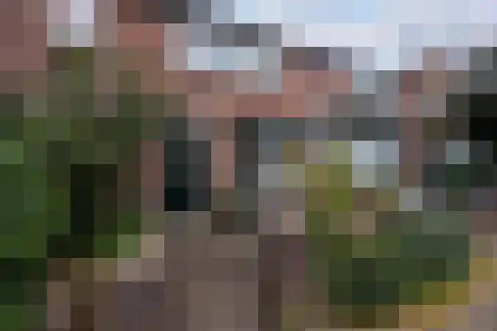 Leeghwaterstraat 97 Hilversum thumbnail 4