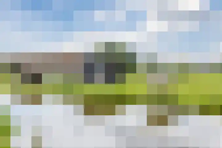 Leeghwaterweg 20 A Zaandam thumbnail 31