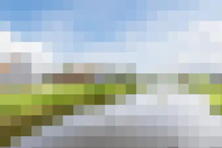 Leeghwaterweg 20 A Zaandam thumbnail 34
