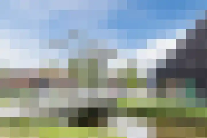 Leeghwaterweg 20 A Zaandam thumbnail 35