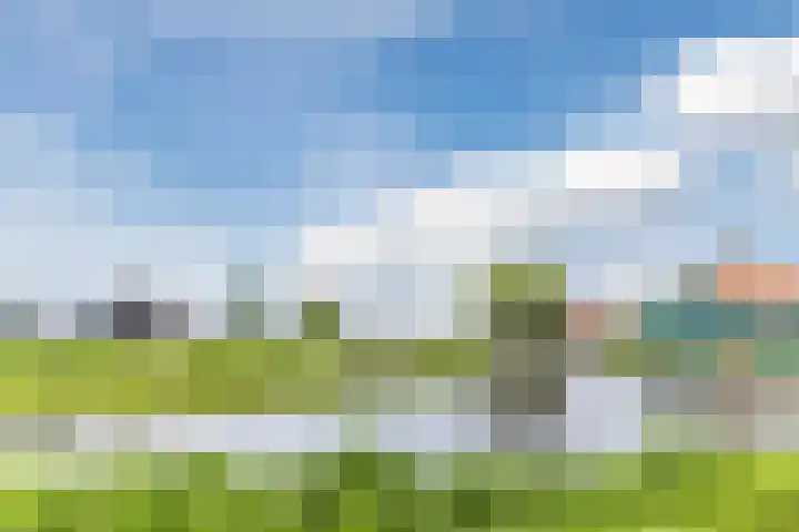 Leeghwaterweg 20 A Zaandam thumbnail 36