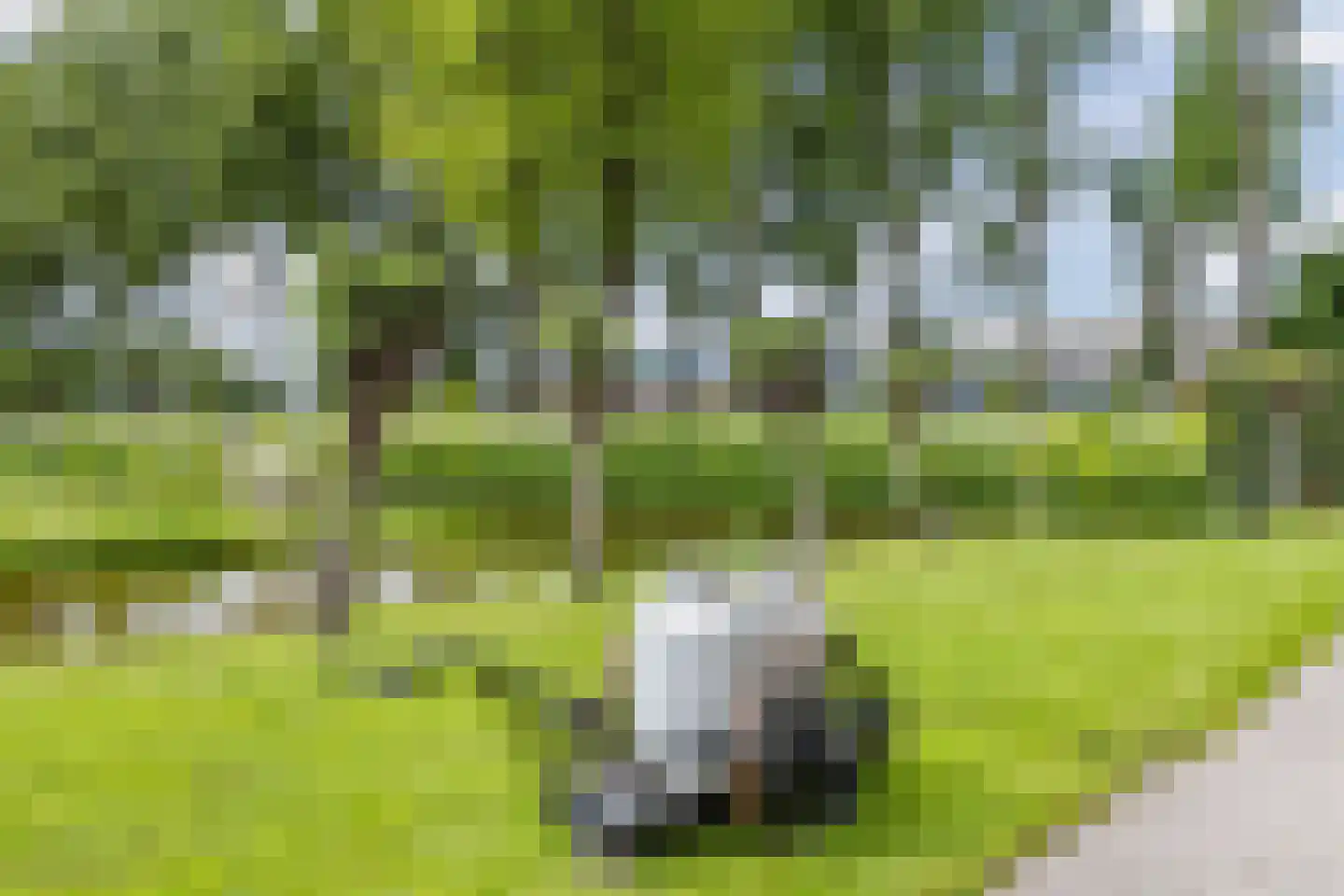 Leeghwaterweg 20 A Zaandam thumbnail 37