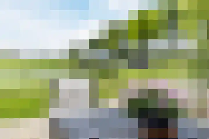 Leeghwaterweg 20 A Zaandam thumbnail 8