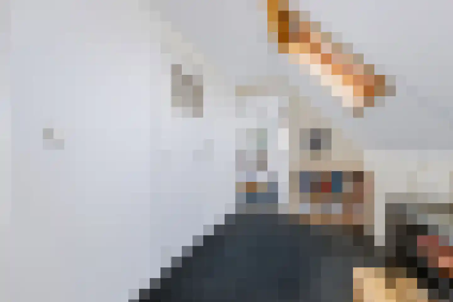 Leegsterweg 17 Warfstermolen thumbnail 22