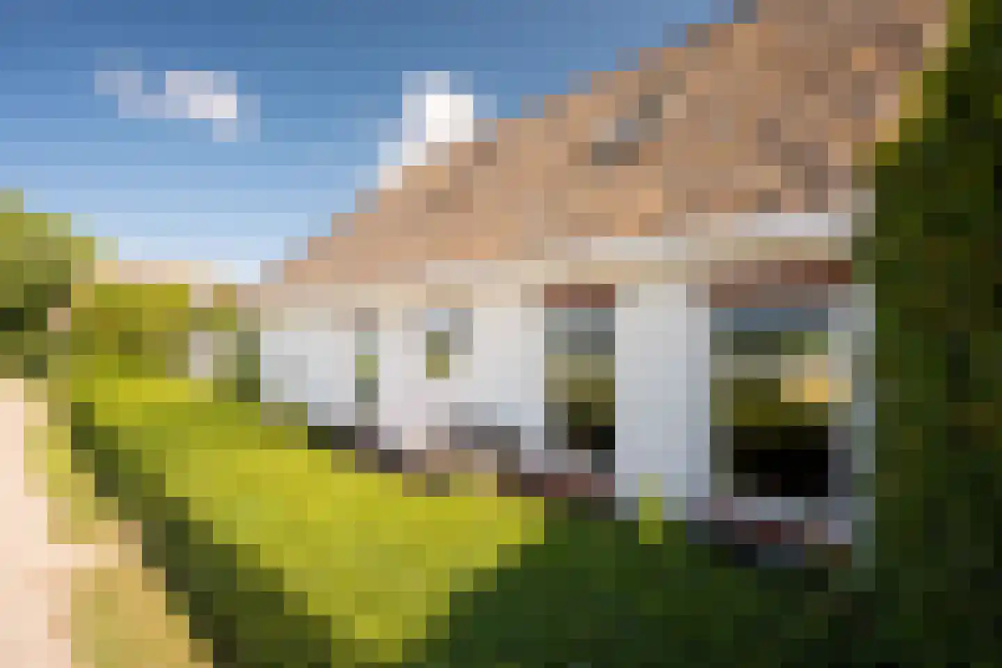 Leegsterweg 17 Warfstermolen thumbnail 34