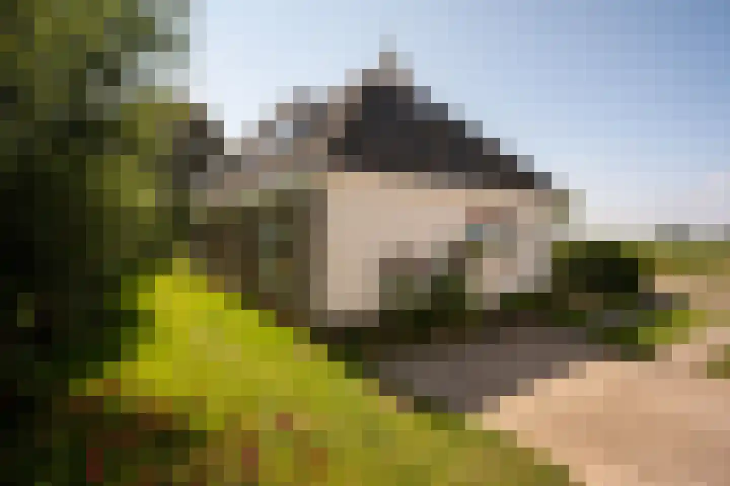 Leegsterweg 17 Warfstermolen thumbnail 35