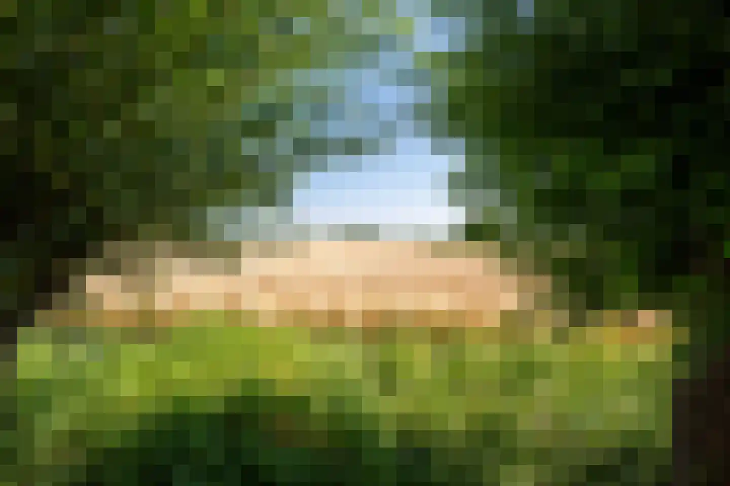 Leegsterweg 17 Warfstermolen thumbnail 38