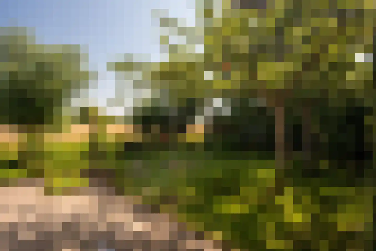 Leegsterweg 17 Warfstermolen thumbnail 4
