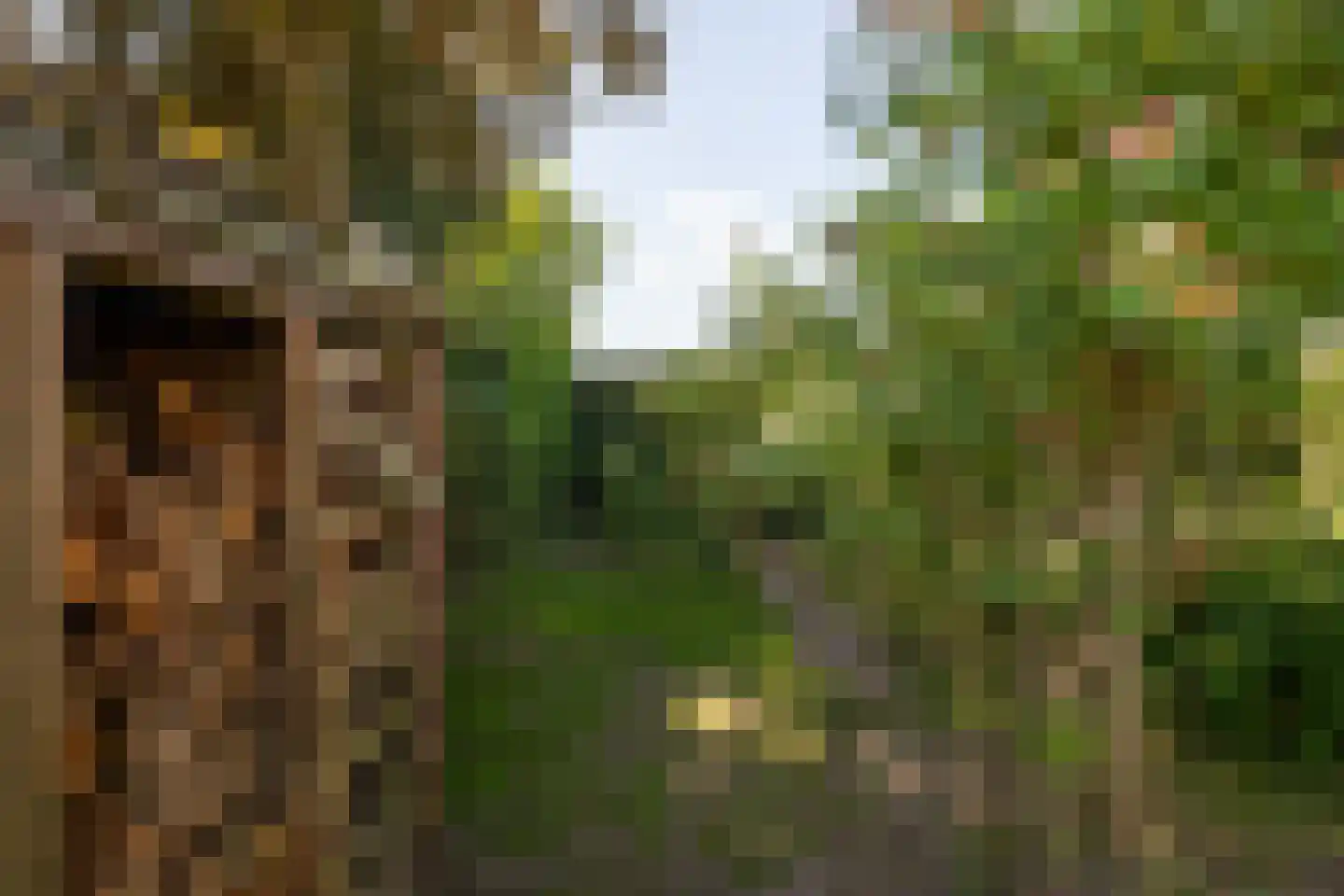 Leegsterweg 17 Warfstermolen thumbnail 40