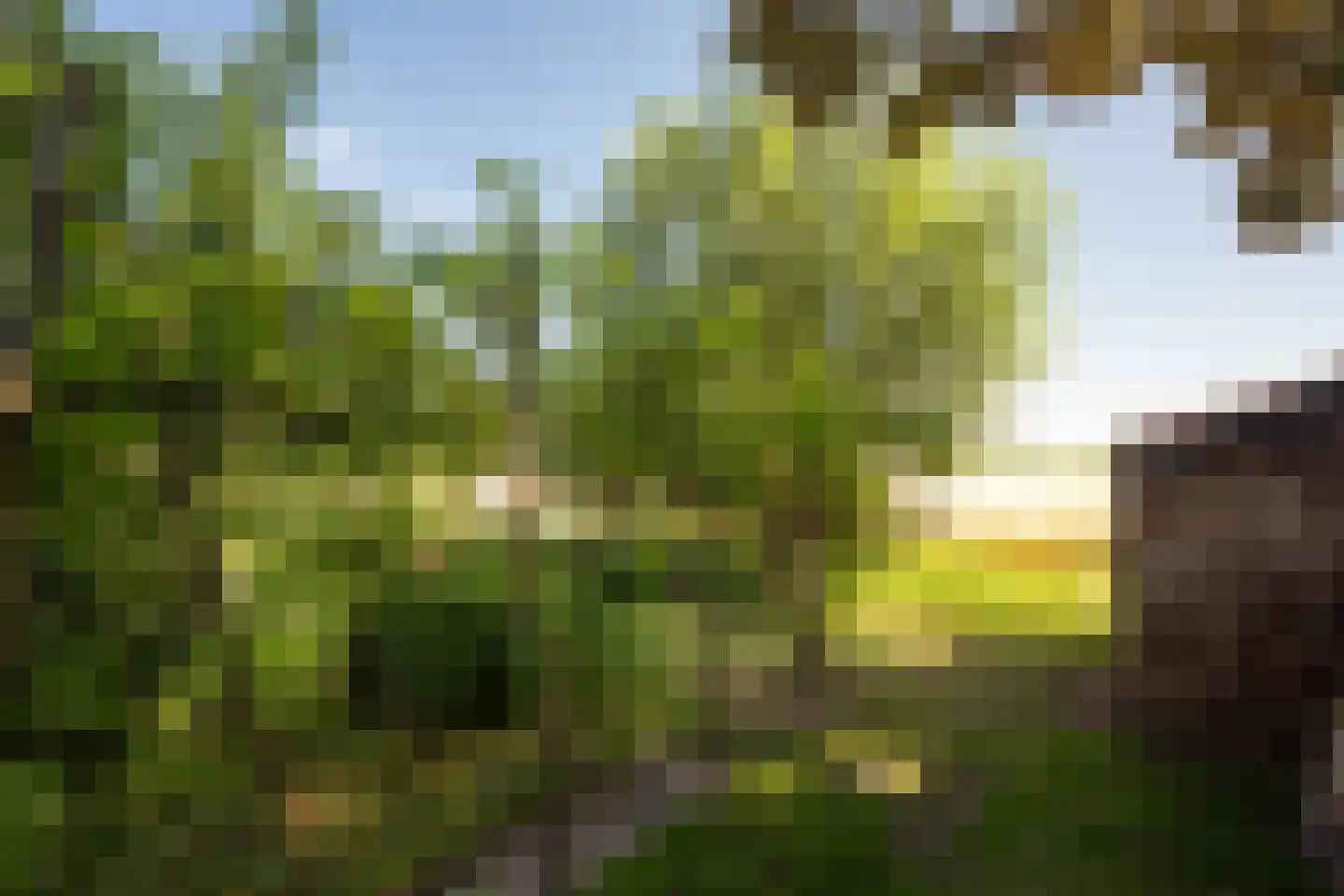 Leegsterweg 17 Warfstermolen thumbnail 41