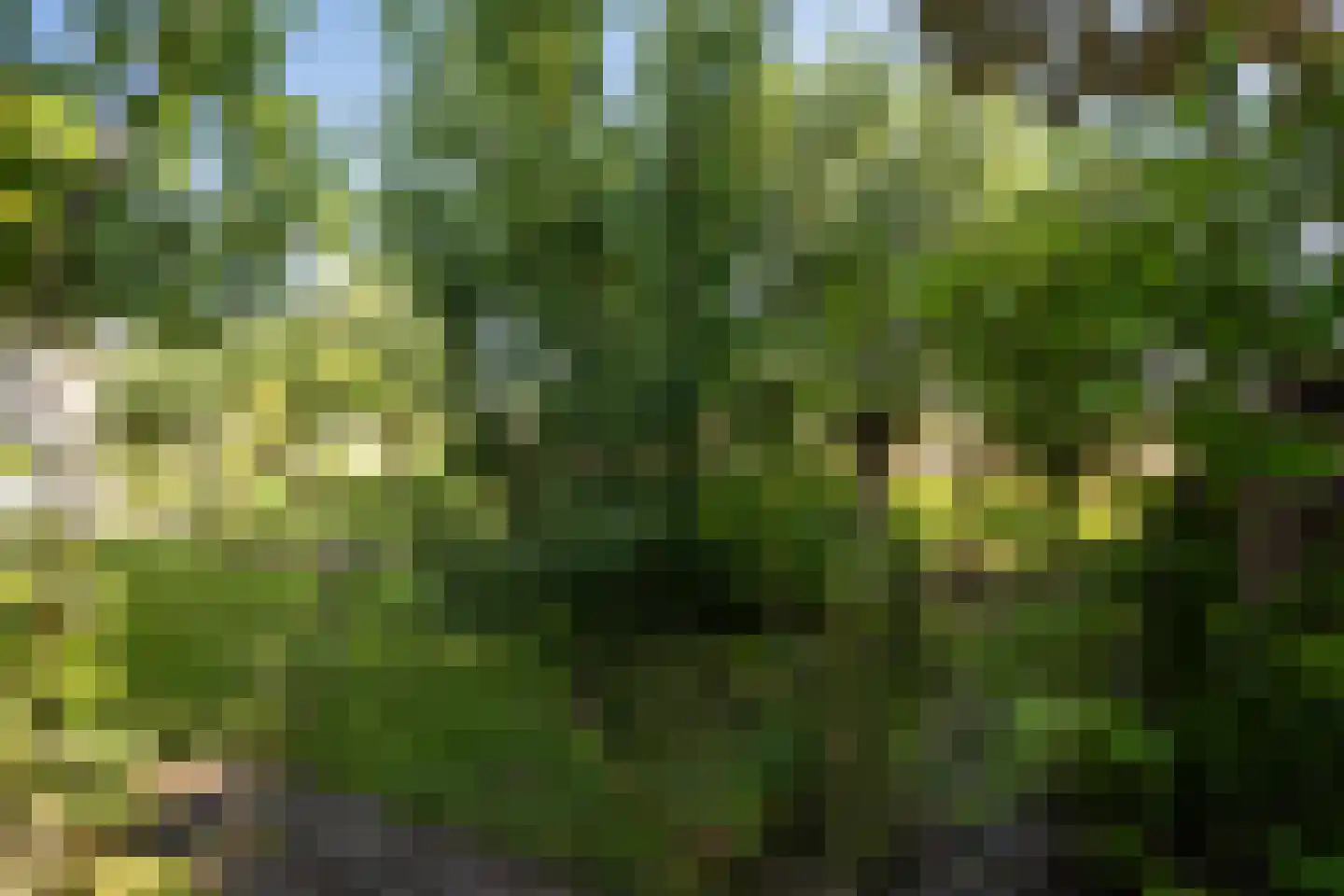 Leegsterweg 17 Warfstermolen thumbnail 42