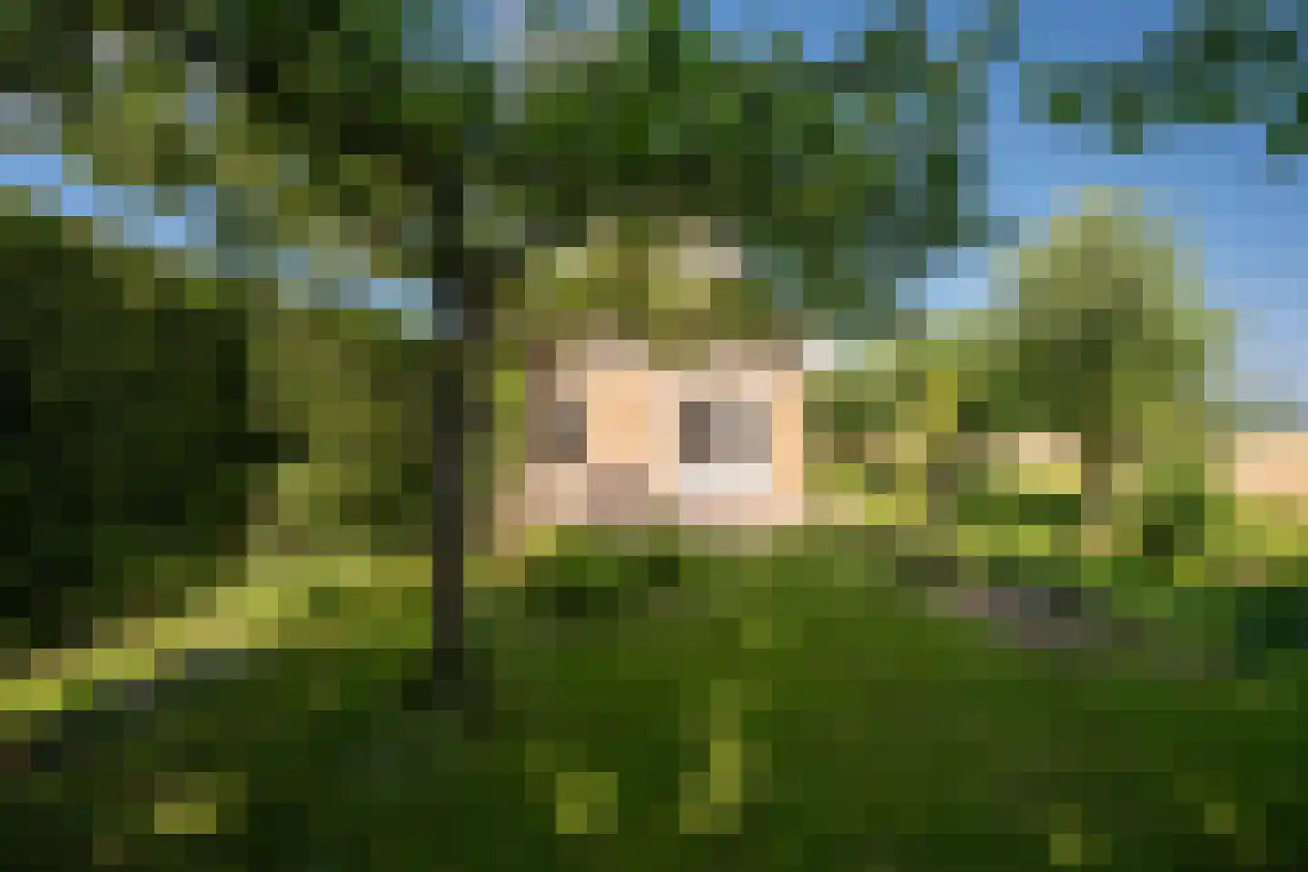 Leegsterweg 17 Warfstermolen thumbnail 43