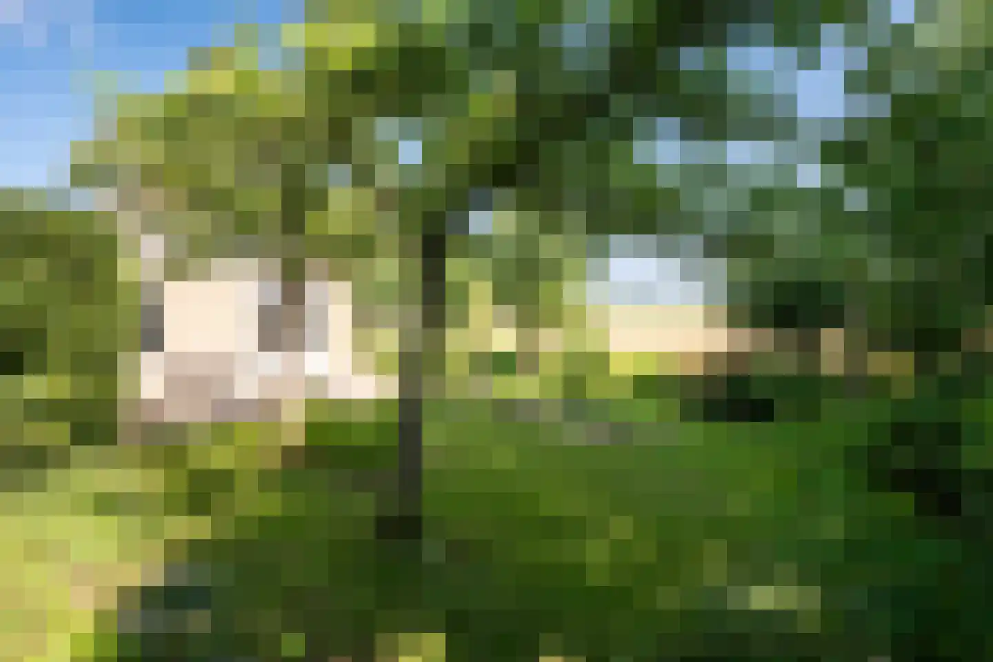 Leegsterweg 17 Warfstermolen thumbnail 44