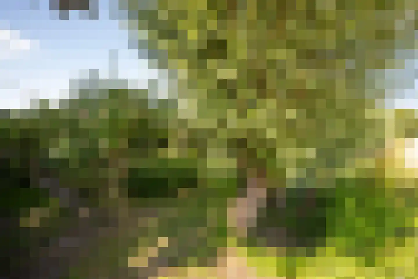 Leegsterweg 17 Warfstermolen thumbnail 45