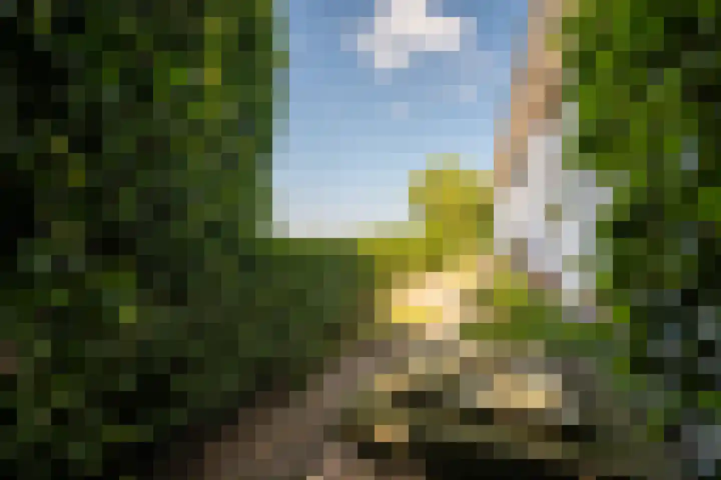 Leegsterweg 17 Warfstermolen thumbnail 47