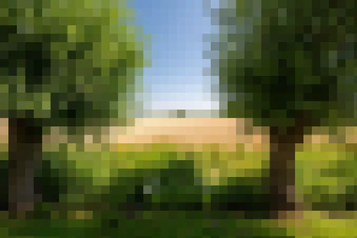 Leegsterweg 17 Warfstermolen thumbnail 48