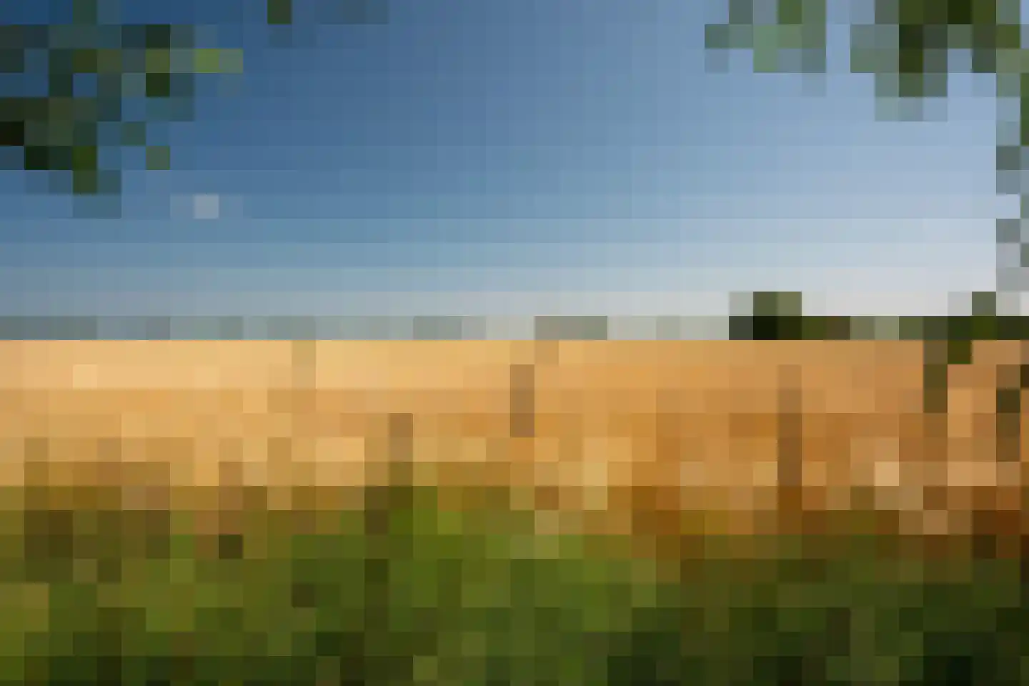 Leegsterweg 17 Warfstermolen thumbnail 49