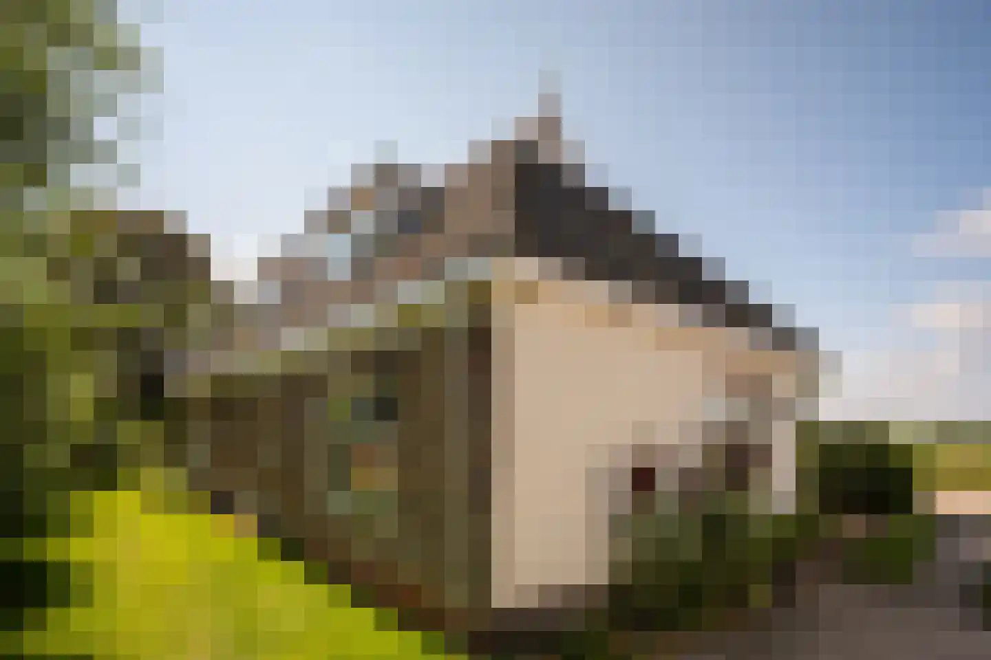 Leegsterweg 17 Warfstermolen thumbnail 50
