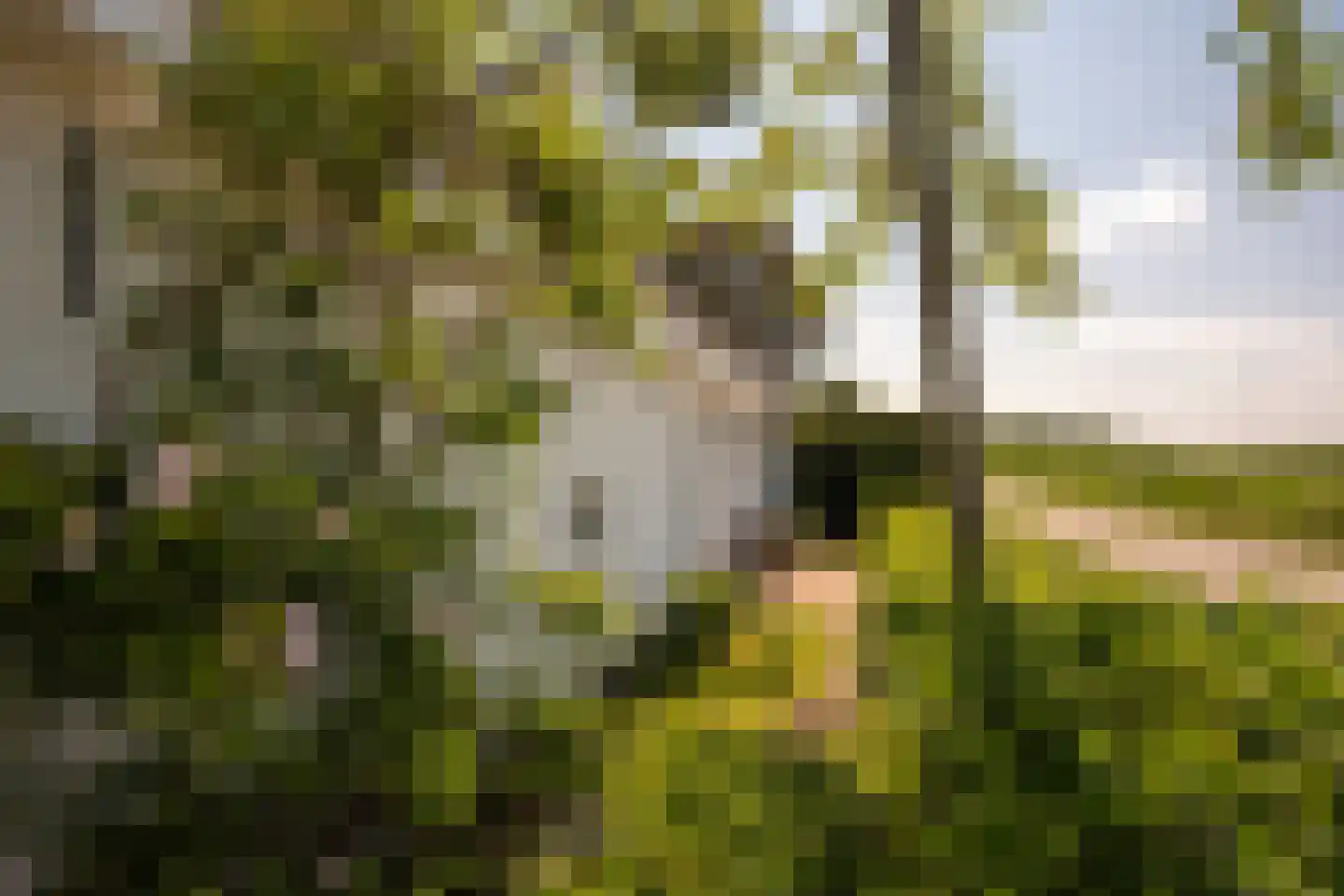 Leegsterweg 17 Warfstermolen thumbnail 51