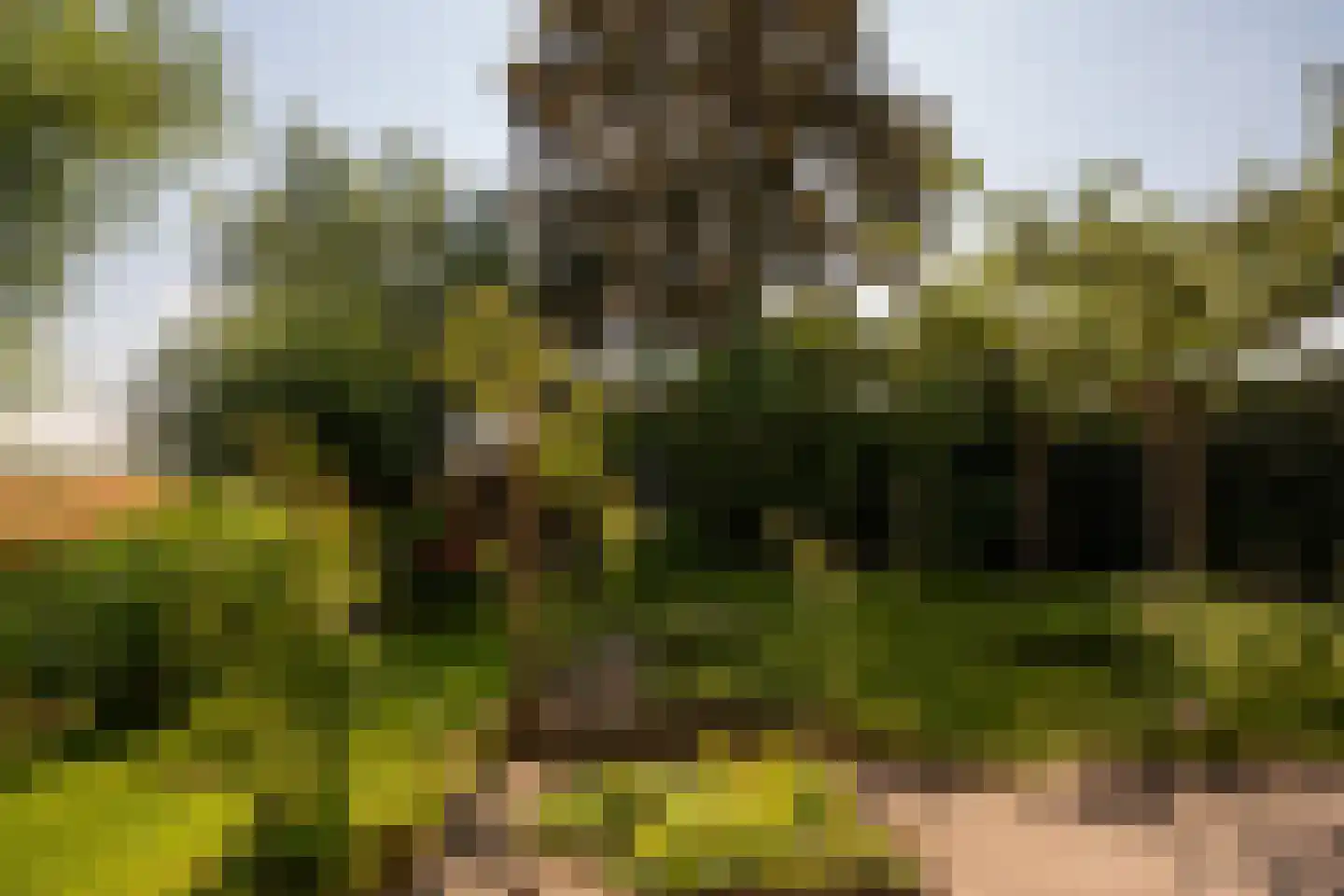 Leegsterweg 17 Warfstermolen thumbnail 52