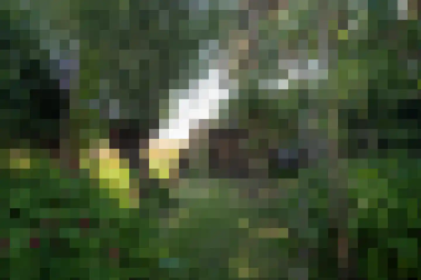 Leegsterweg 17 Warfstermolen thumbnail 54