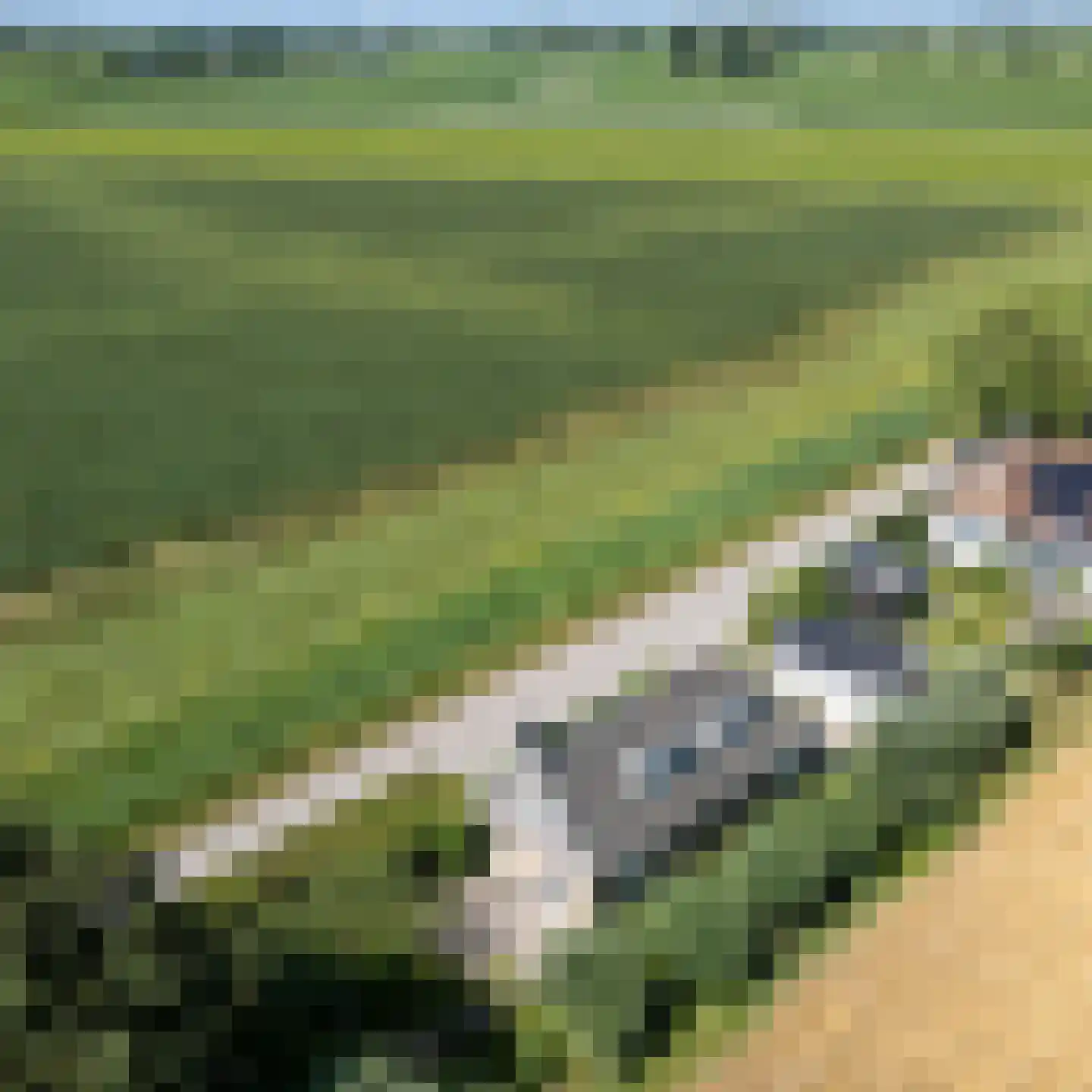 Leegsterweg 17 Warfstermolen thumbnail 56