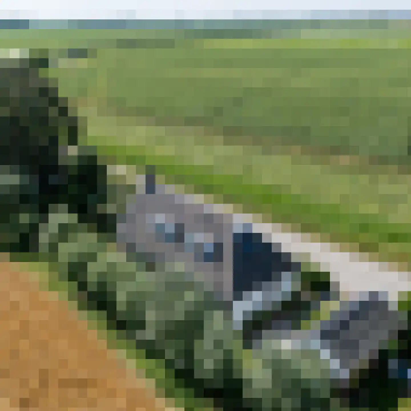 Leegsterweg 17 Warfstermolen thumbnail 63