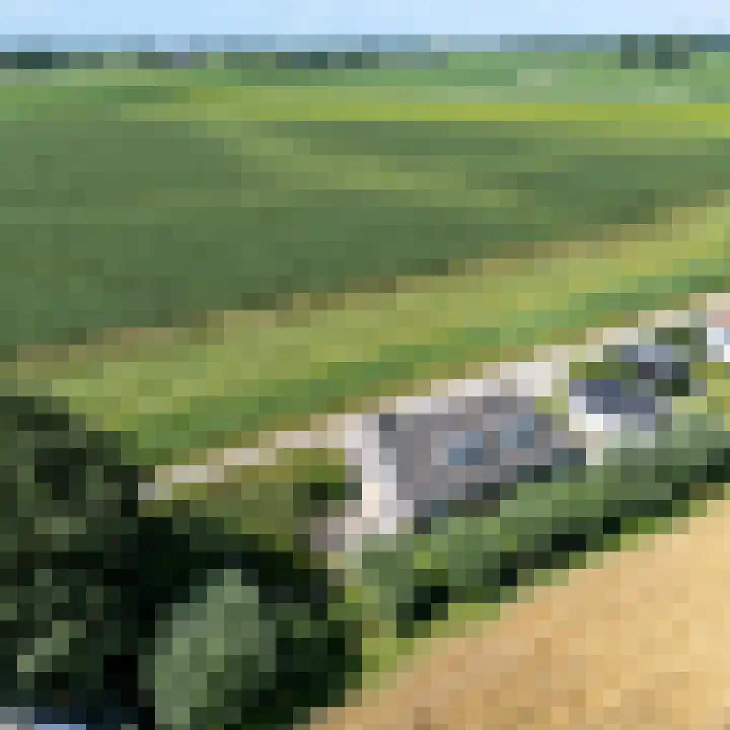 Leegsterweg 17 Warfstermolen thumbnail 64