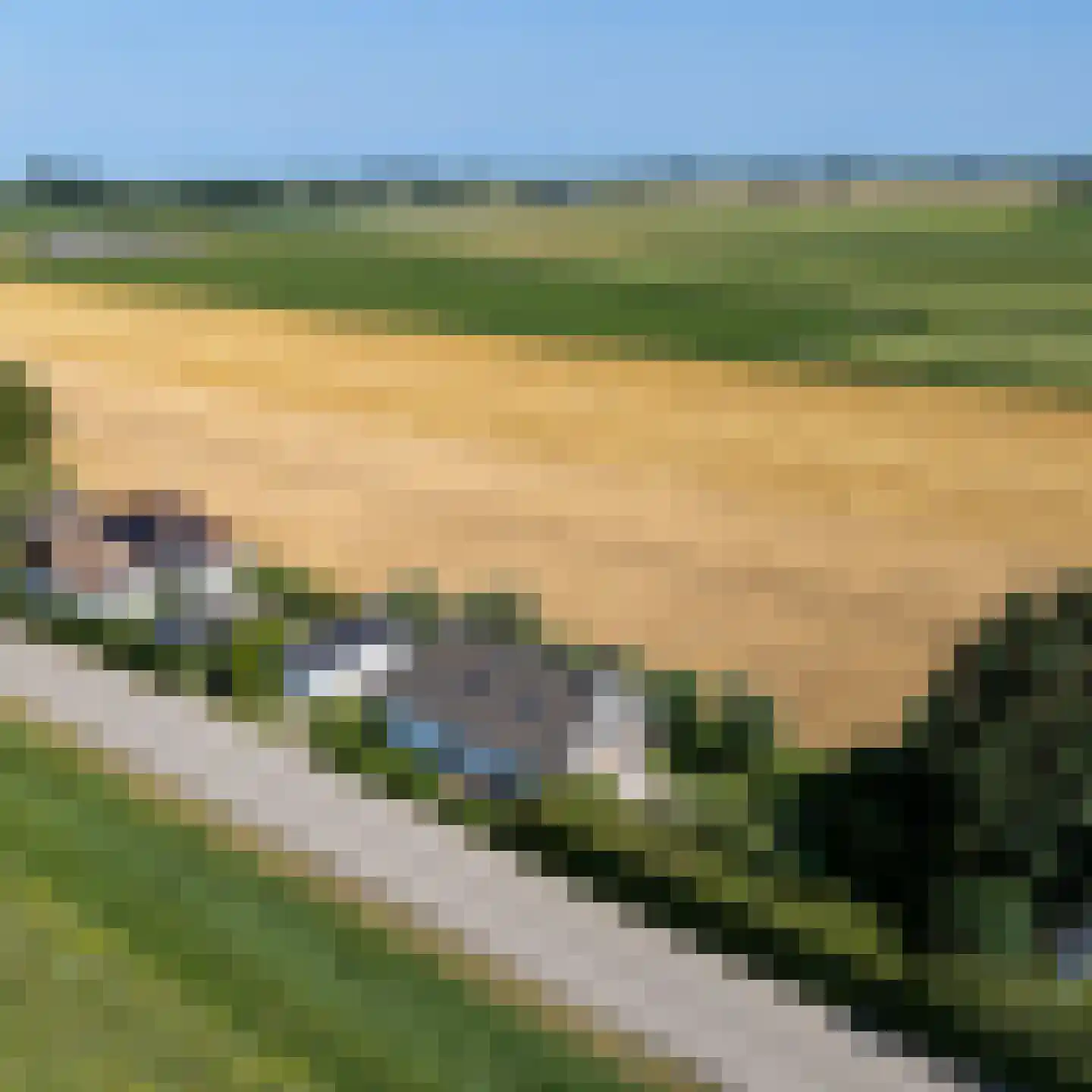 Leegsterweg 17 Warfstermolen thumbnail 65