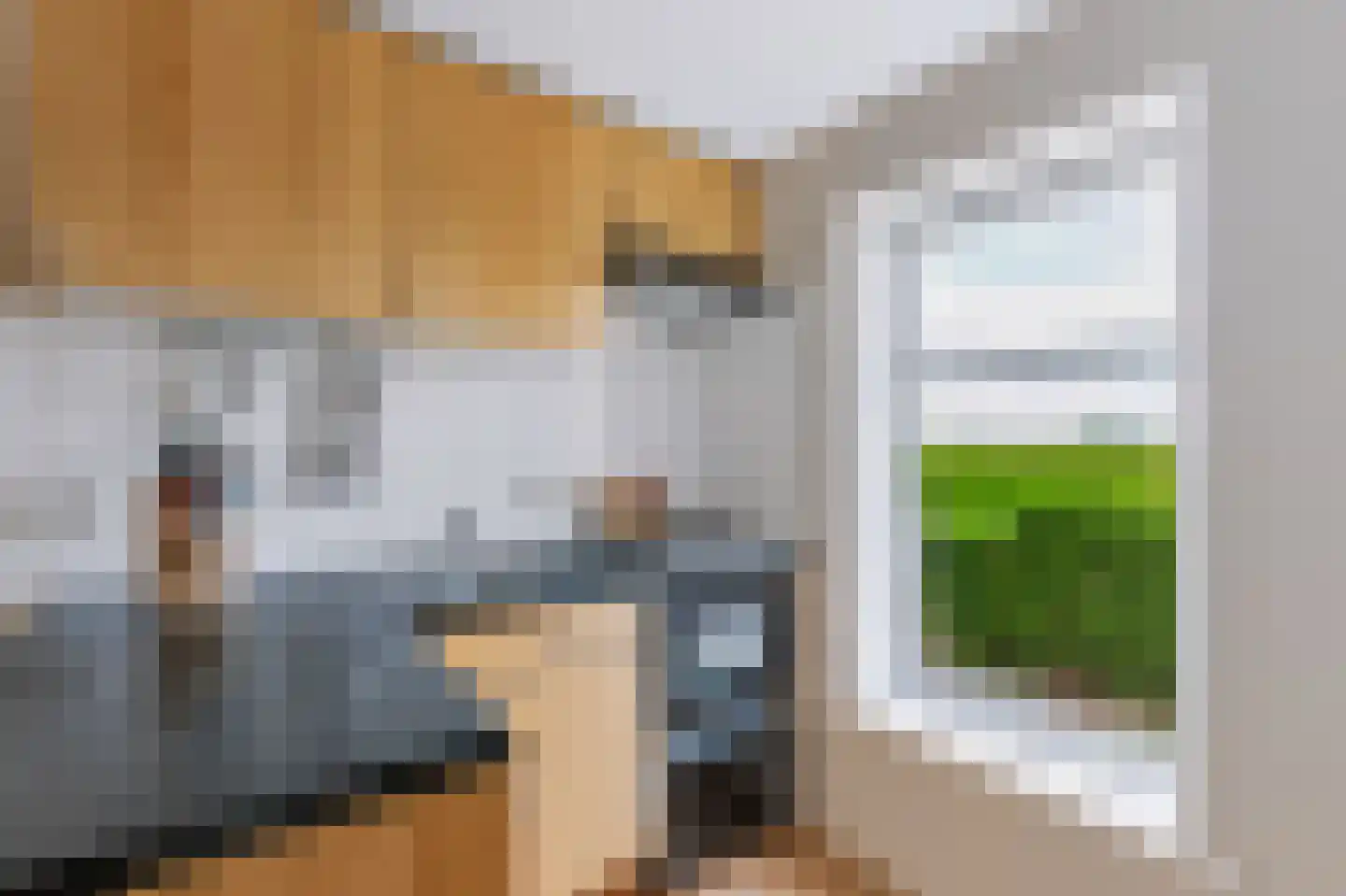 Leegsterweg 17 Warfstermolen thumbnail 7