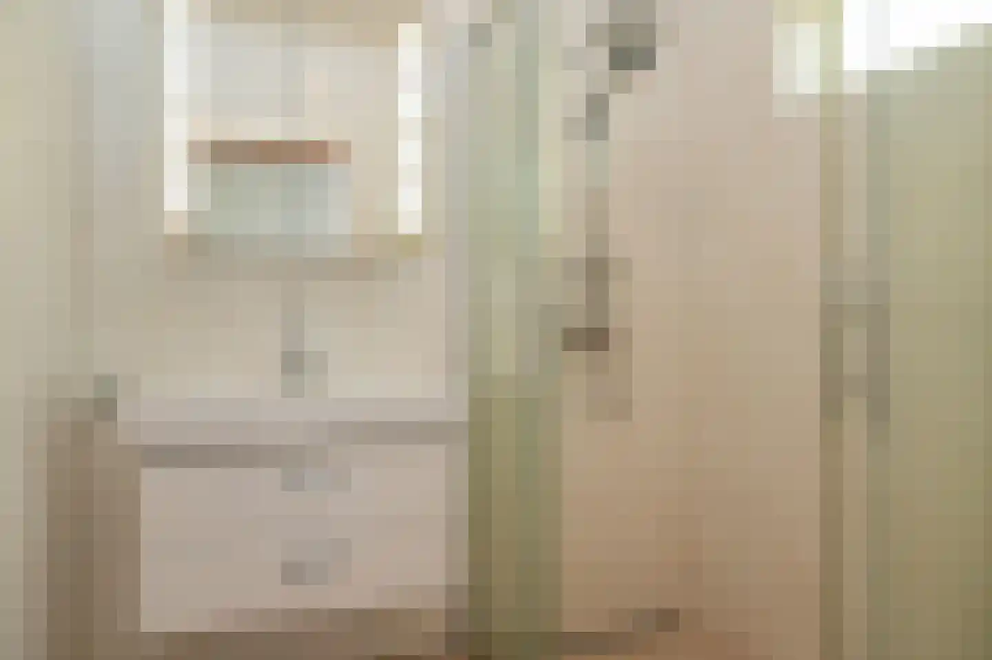 Leegstraat 16 a Winssen thumbnail 18