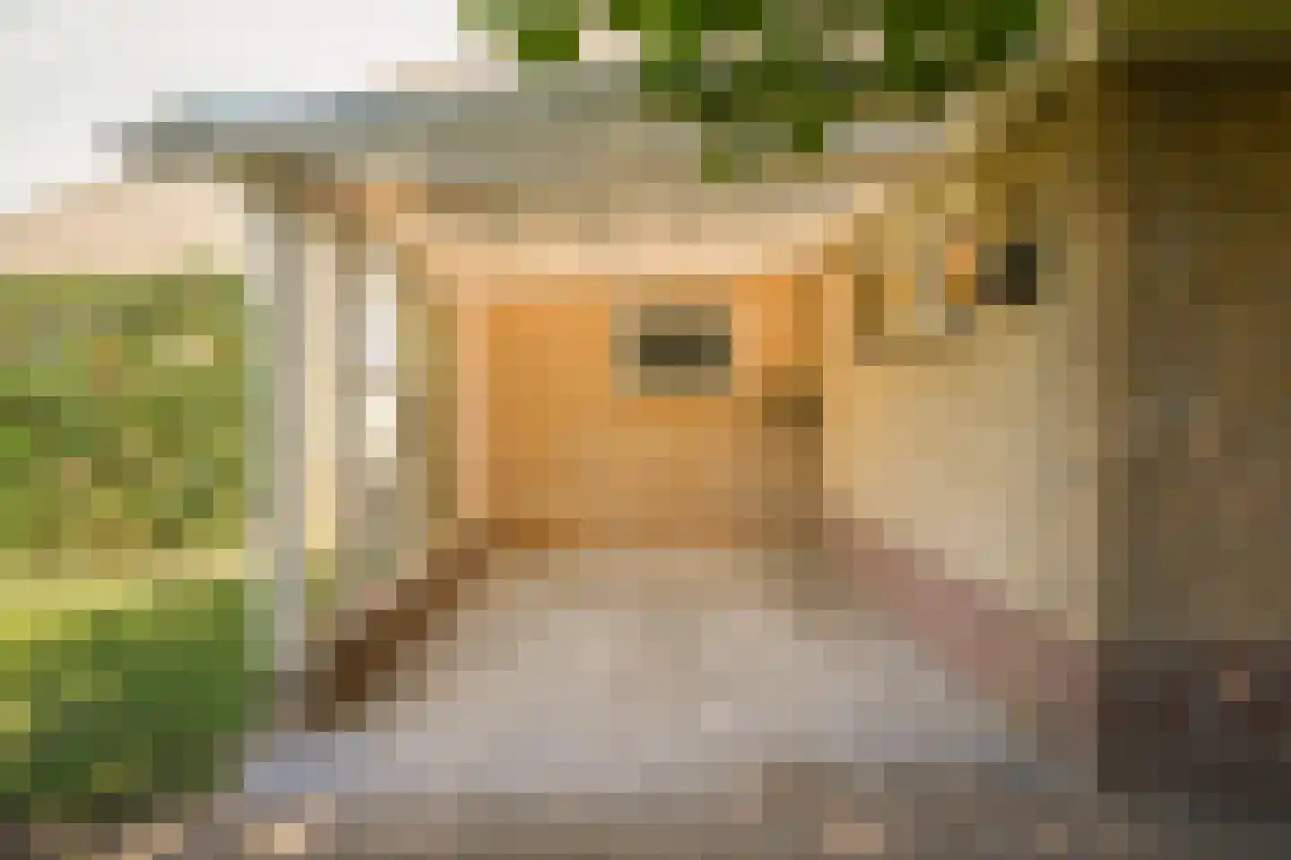Leegstraat 16 a Winssen thumbnail 36