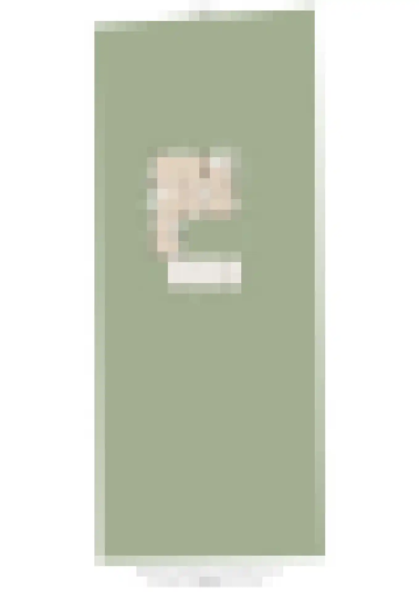 Leegstraat 16 a Winssen thumbnail 46