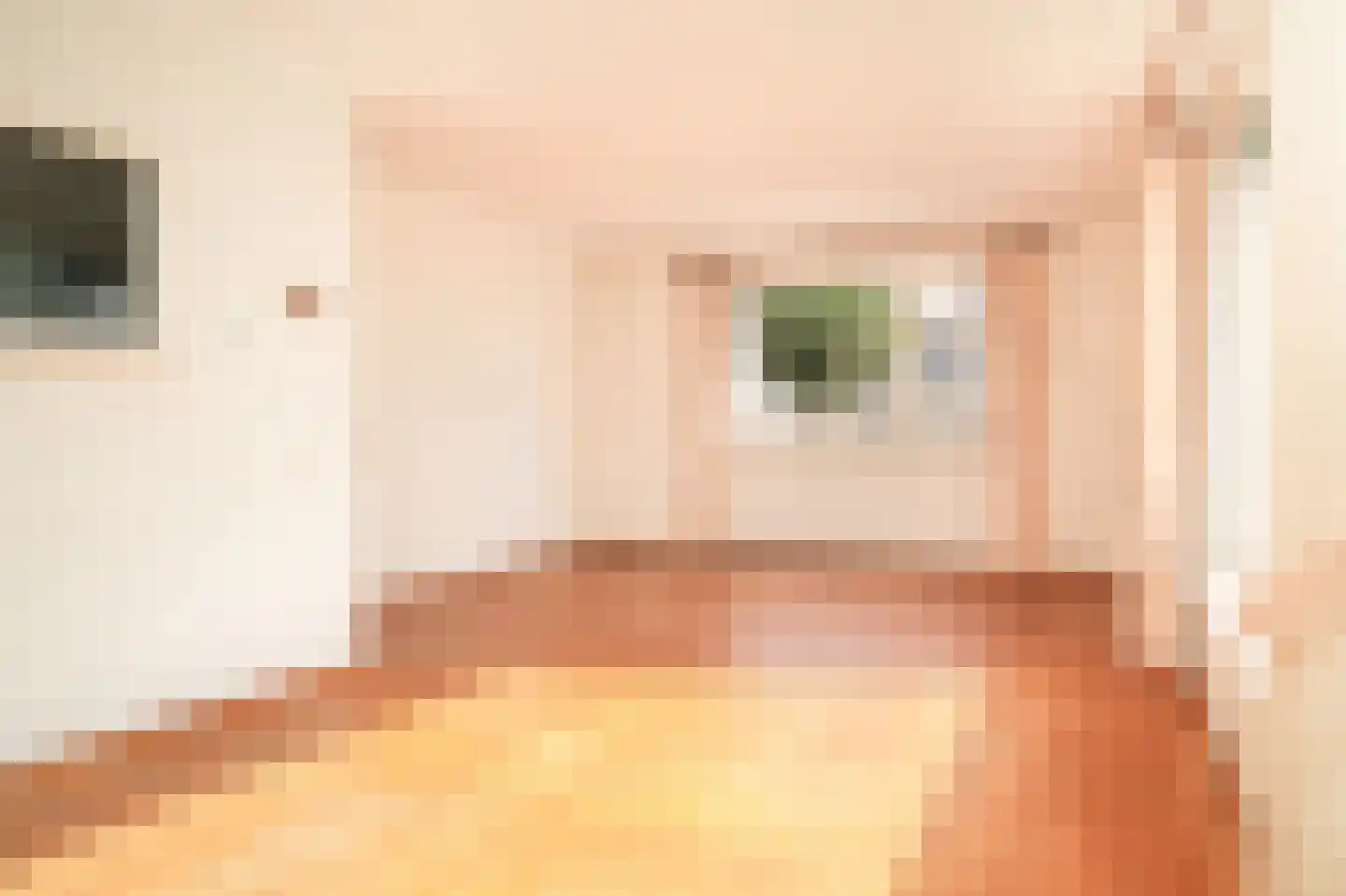 Leegstraat 16 a Winssen thumbnail 9