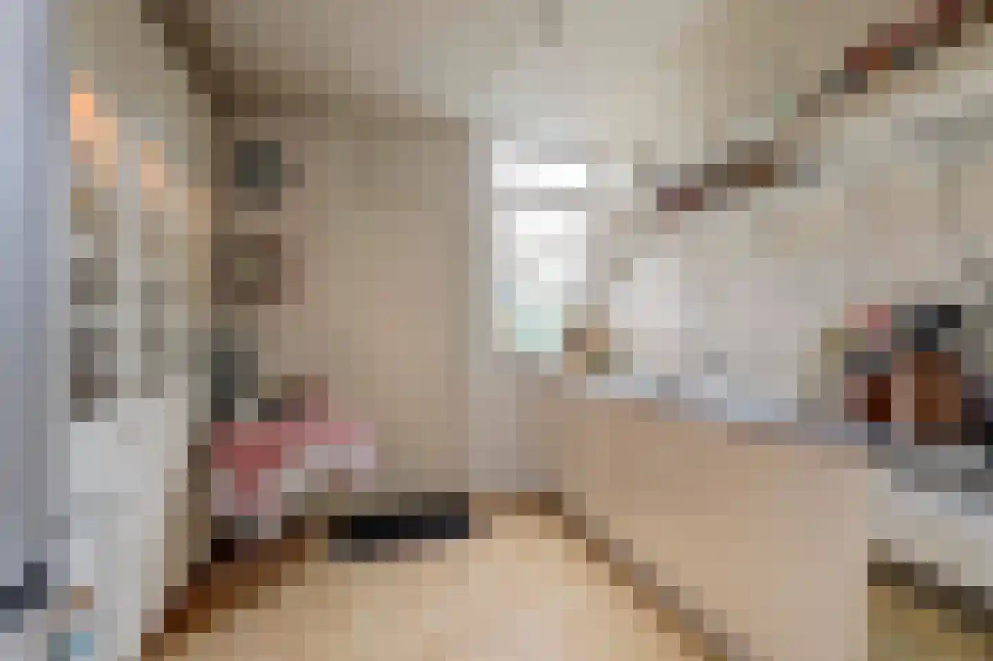 Leegwar 6 Woudsend thumbnail 10