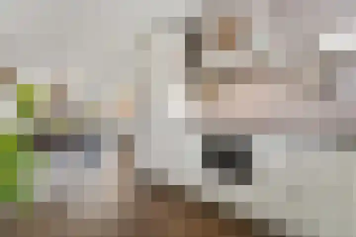 Leehoeve 42 Delft thumbnail 18