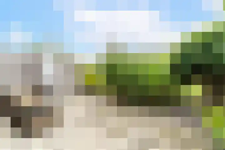 Leehoeve 56 Delft thumbnail 13