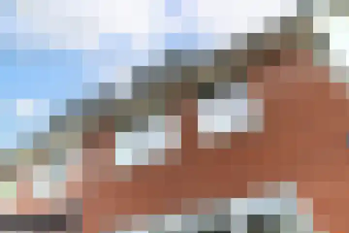 Leehoeve 56 Delft thumbnail 16
